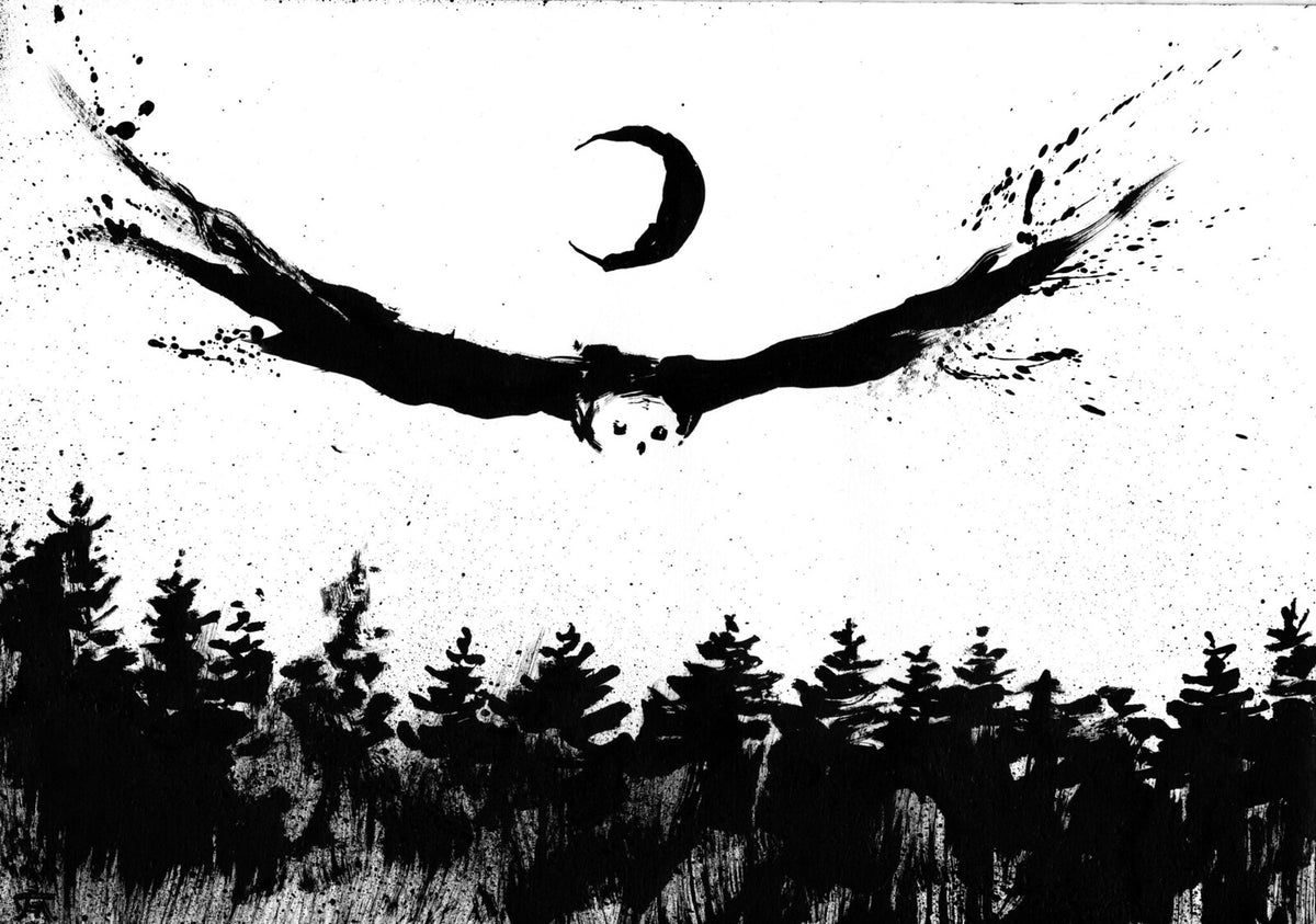 owl_0001-X3.jpg__PID:8fac63db-621c-49f1-940e-7b83513b2d86